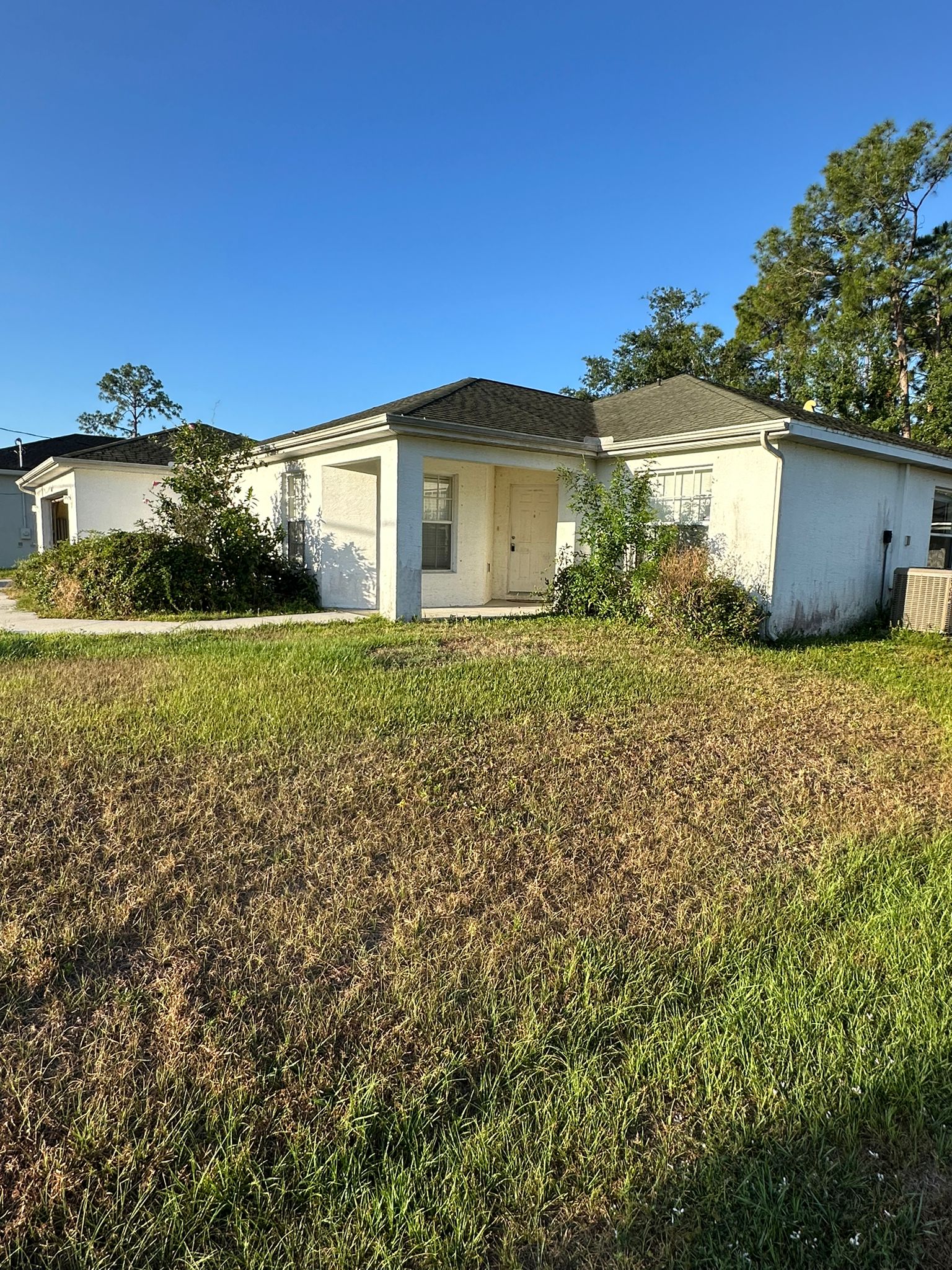 WhatsApp Image 2025-07-13 at 9.59.46 AM (1)