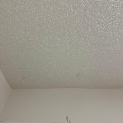 WhatsApp Image 2026-03-30 at 1.01.47 PM